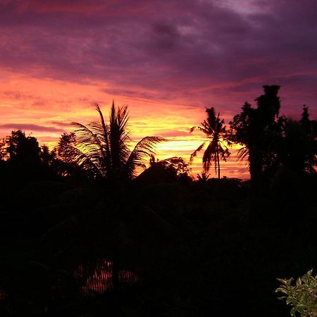 Kun - Kun Guest House Ubud מראה חיצוני תמונה