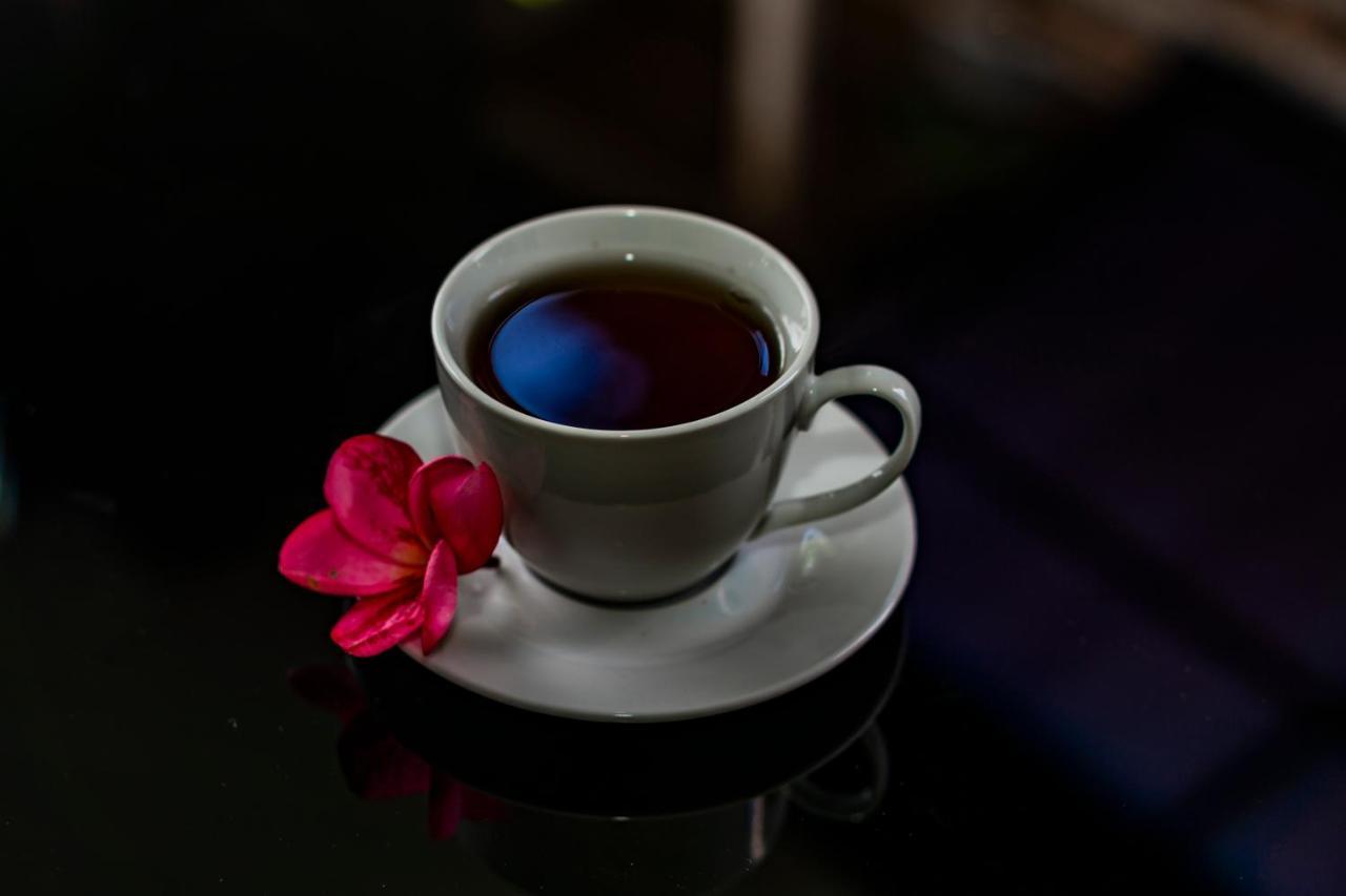 Kun - Kun Guest House Ubud מראה חיצוני תמונה