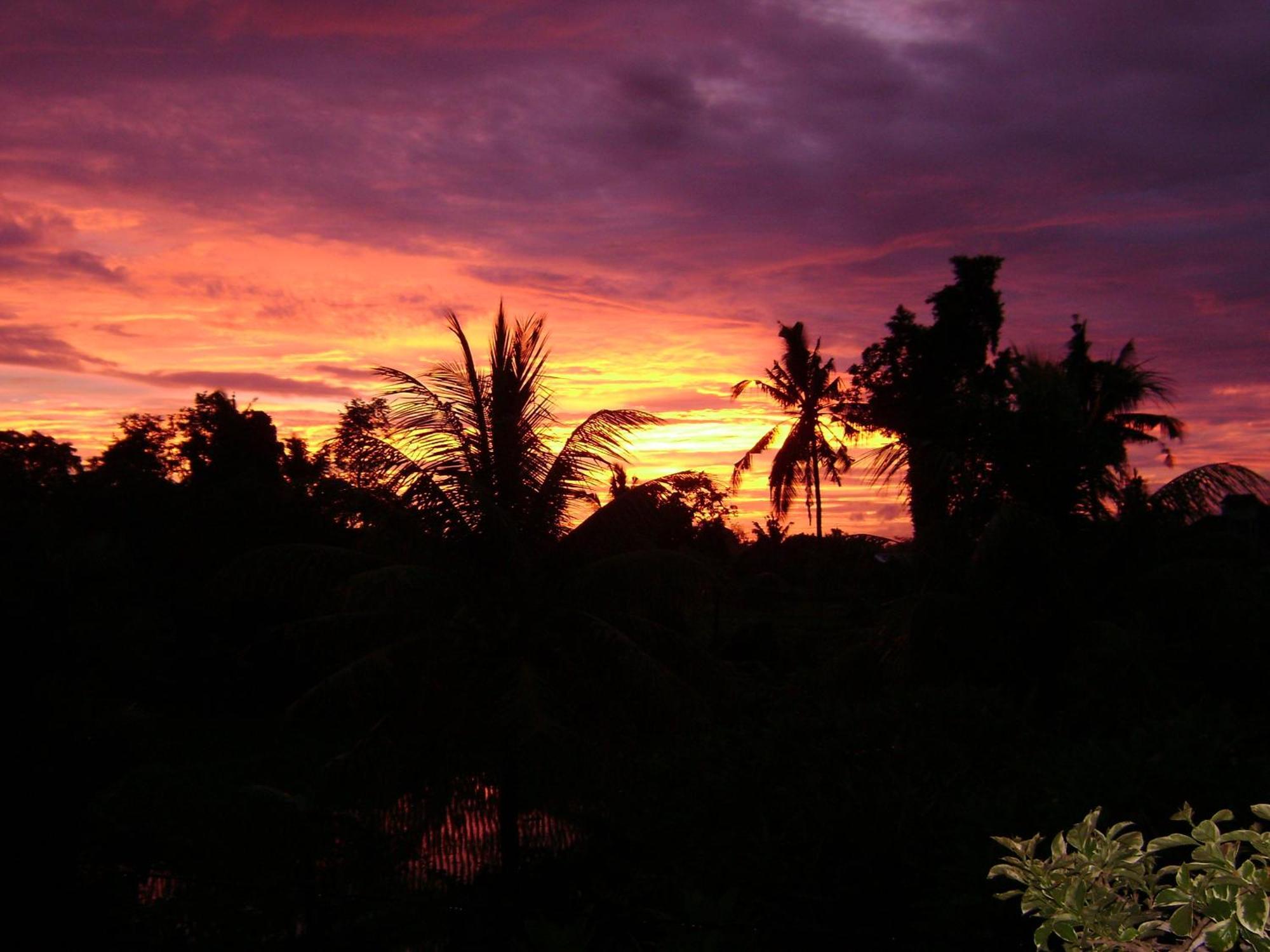 Kun - Kun Guest House Ubud מראה חיצוני תמונה