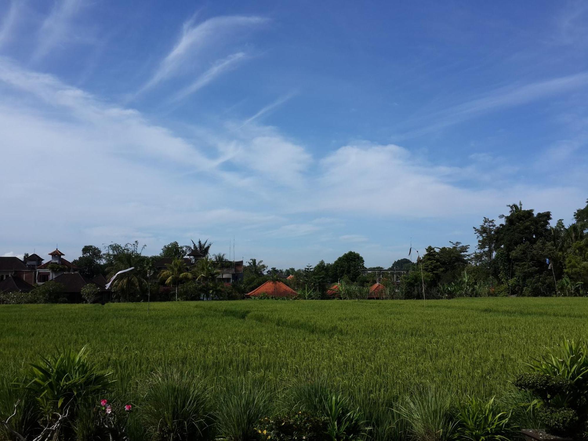 Kun - Kun Guest House Ubud מראה חיצוני תמונה